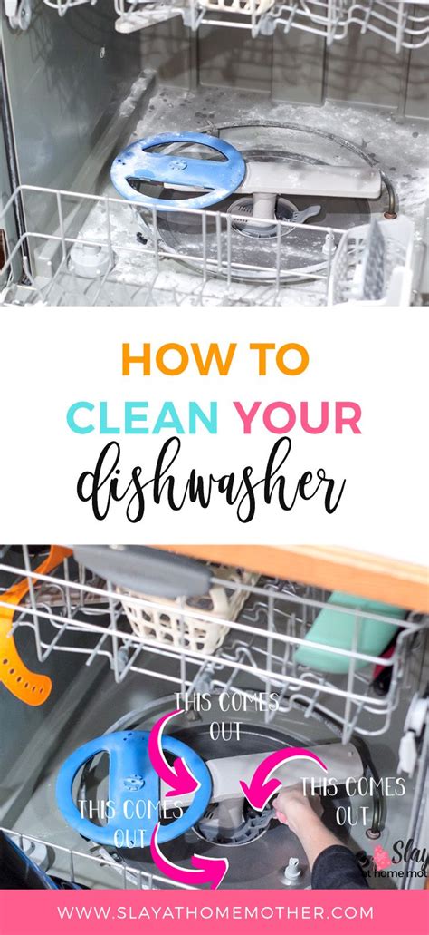 How To Clean A Smelly Dishwasher Cleaning Hacks Diy Cleaning