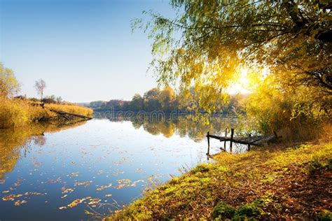 Calm River Stock Photo Image Of Sunset Landscape Trees 6164110