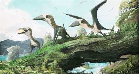 Pterosaurs Werent All Super Sized In The Late Cretaceous