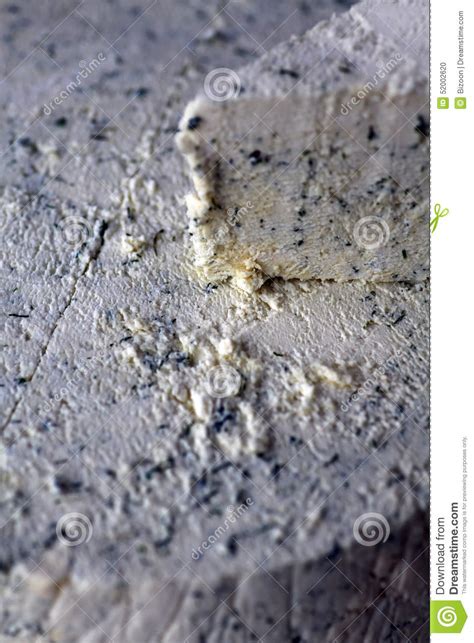 Cheese With Herbs Stock Photo Image Of Herb White Tasty 52002620