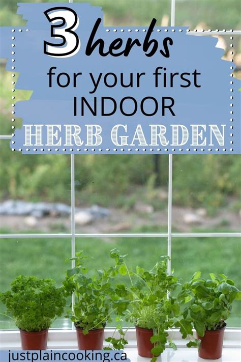 3 Easy Herbs That Grow Indoors Just Plain Cooking