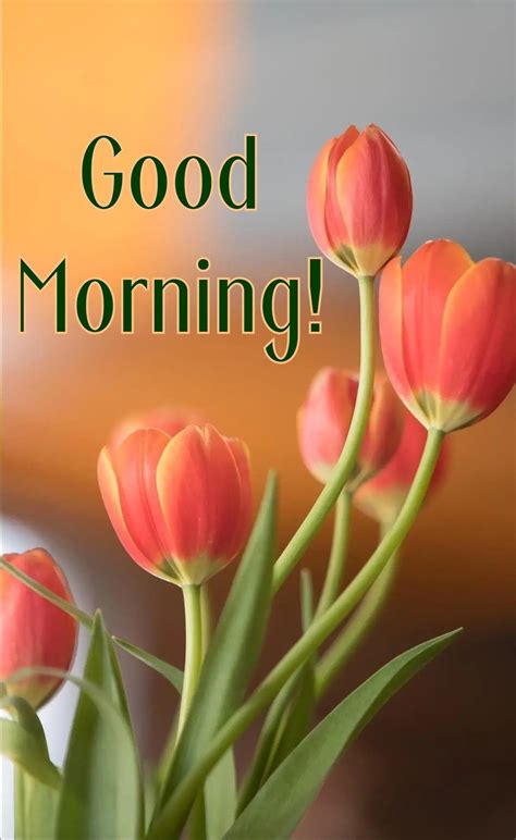 Flirty Good Morning Quotes Good Morning Friends Images Good Morning