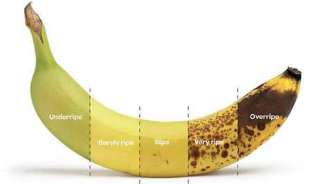 Do Bananas Flare Up Eczema Or Cause Eczema Symptoms Skin Care Geeks