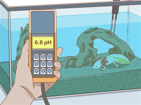Maybe you would like to learn more about one of these? How to House a Pet Axolotl: 13 Steps (with Pictures) - wikiHow