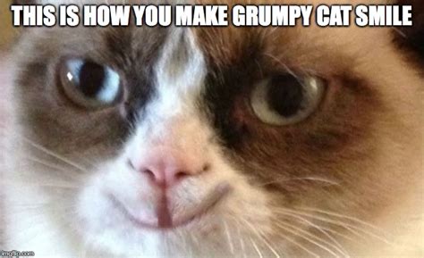 Grumpy Cat Happy Imgflip