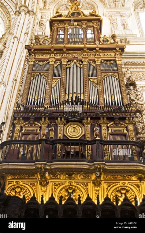 Spain Cordoba Mezquita Catedral Cathedral Interior Organ Brochure