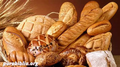 Qué significa que No solo de pan vivirá el hombre Pura Biblia