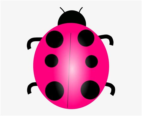 Pink Ladybug Clip Art At Clker Com Vector Clip Art Pink Ladybug Png