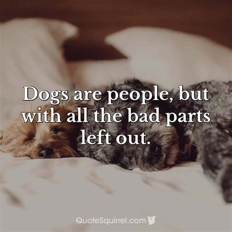 Dogs Are People But With All The Bad Parts Left Out Quote Squirrel