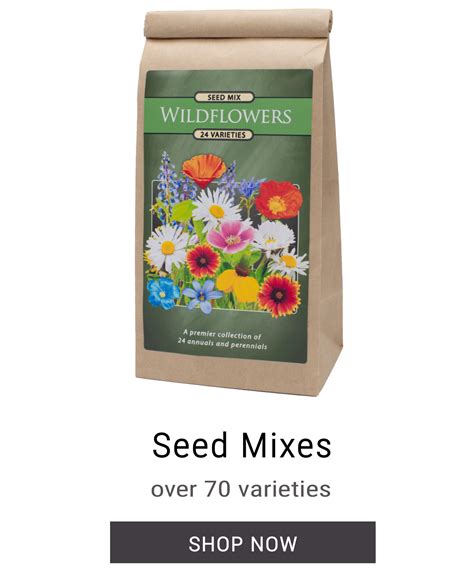 Wildflower Seed Mixes Created By Nature