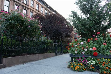 Colorful Flowers Along A Beautiful Neighborhood Sidewalk With Old Homes