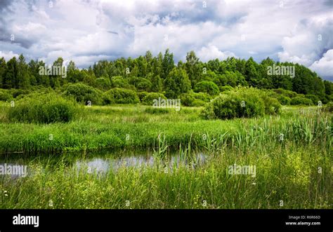 The River Flows Through The Meadows In Belarus Stock Photo Alamy