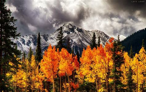 Fall Foliage Near Silverton Colorado Explore Colorado Places To