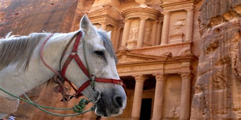 Desert Eco Tours Petra Wadi Rum Jeep Tours From Israel