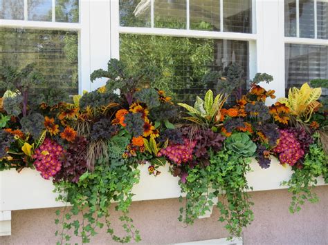 Window Boxes Bring A Fall Garden To Life Home Wizards