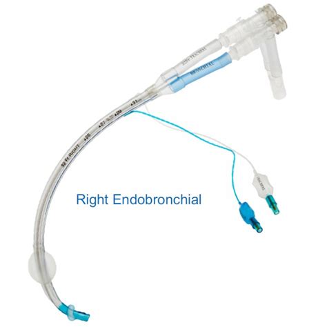 Double Lumen Endobronchial Right Tube Forsure Medical Products