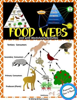 By looking at what forms food web biology, scientists can better understand a food web is an illustrative way to read how energy transfers in an ecosystem. Food Web:Basics,Types,Applications,Energy Pyramid,Trophic ...