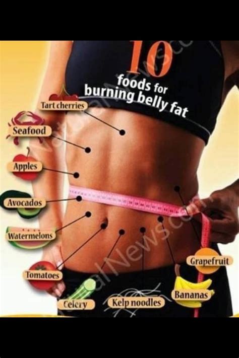 ~foods That Burn Belly Fat~ Musely