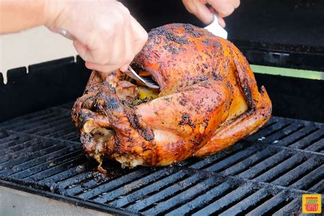 28 Grilled Turkey Recipes KimberleyNela