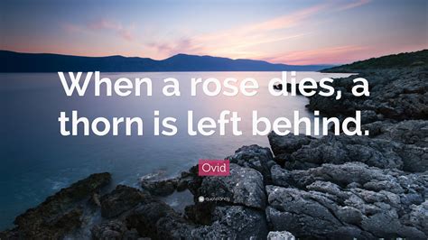 'but he who dares not grasp the thorn should never crave the rose.', alphonse karr: Ovid Quote: "When a rose dies, a thorn is left behind ...