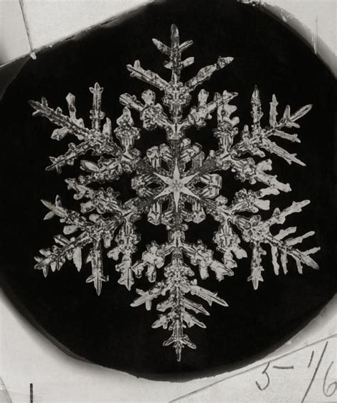 No Two Alike The First Photos Of Snowflakes Snowflake Photography