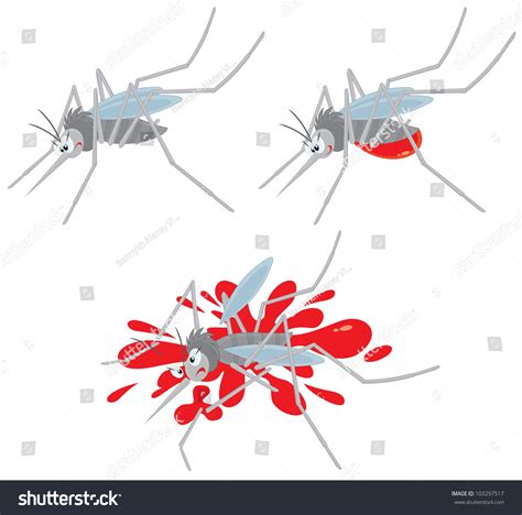 Mosquito Sucking Blood Crushed Stock Vector Royalty Free 103297517