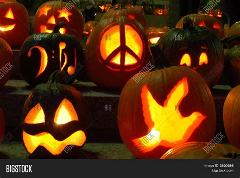 Carved Lighted Pumpkins Stock Photo And Stock Images Bigstock