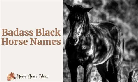 250 Badass Black Horse Names With Meanings