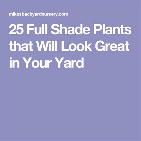 25 Full Shade Plants That Will Look Great In Your Yard Full Shade