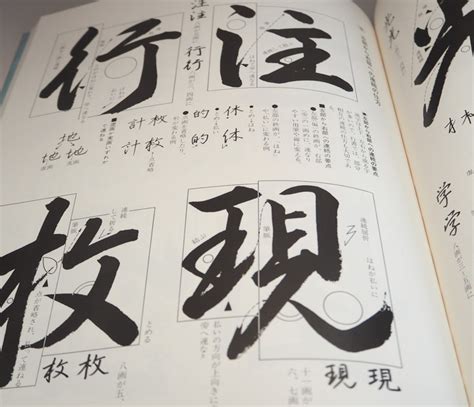 basics of japanese calligraphy illustrated book from japan books wasabi