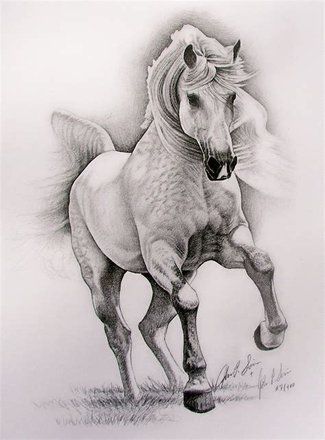 dappled horse by johnnydraws on DeviantArt | Horse drawings, Animal