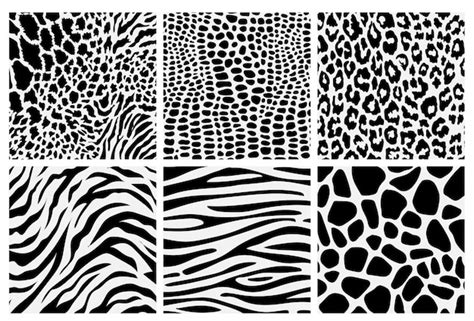 Premium Vector Set Of Seamless Animal Print Pattern Black And White