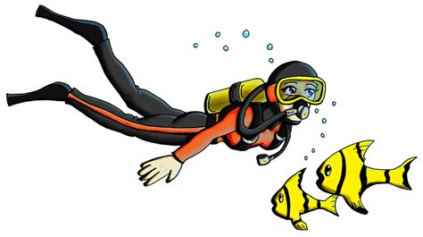 Diver Png Transparent Image Download Size 796x446px
