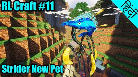 Have you ever wanted to craft armor and tools on the go? RL Craft #11 - My First Pet Strider & Explore World - Minecraft Java | in Hindi - YouTube