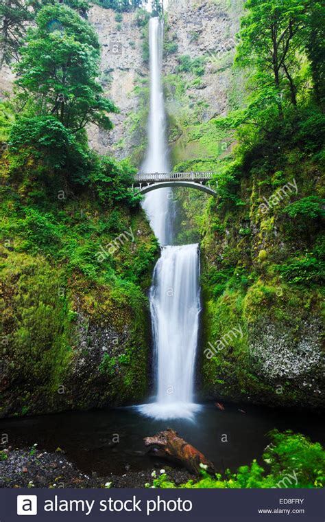 Multnomah Falls Oregons Tallest Waterfall Columbia River Gorge