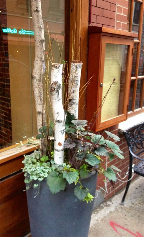 Birch Planter Spring Planter Fall Planters Birch Tree Decor