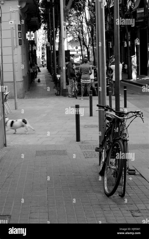 Street Scene Barcelona Stock Photo Alamy