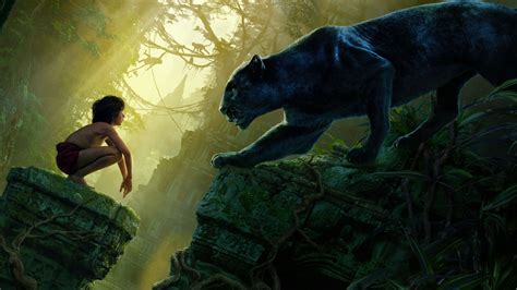 The Jungle Book Hd Hd Movies 4k Wallpapers Images Backgrounds