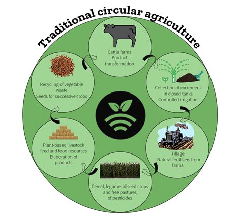 Sustainable Farming Cycle