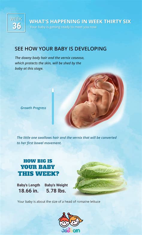 Pregnancy Week 36 Pregnancy Changes Week By Week Kidborn
