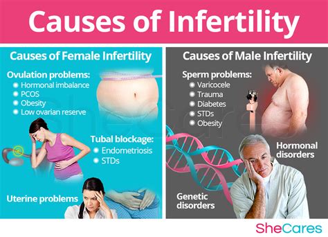 Infertility In Women Reasons