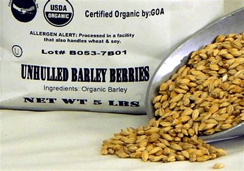 Organic Unhulled Barley Nutritious Whole Grain Berries