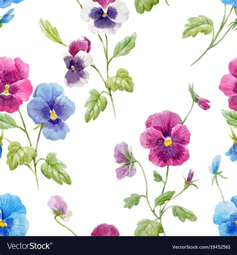 Watercolor Pansy Flower Pattern Royalty Free Vector Image