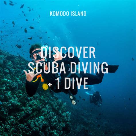Discover Scuba Diving In Komodo 1 Dive — Scuba Republic Indonesia