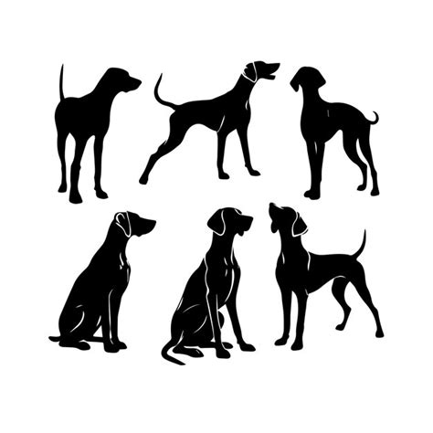 Premium Vector Silhouette Solid Vector Icon Set Of Dog Breeds Canine