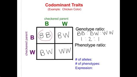 Codominance, in genetics, phenomenon in which two alleles are expressed to an equal degree within an organism. Bio 8.5 Non Mendelian Genetics - Incomplete & Codominance ...