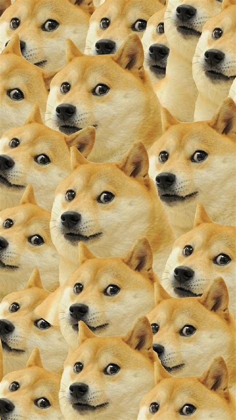Shibe Doge Wallpaper