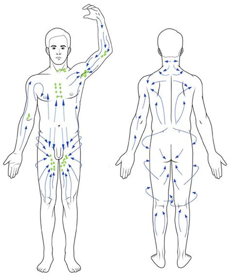 manual lymphatic drainage video techniques