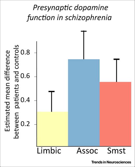 Schizophrenia Dopamine And The Striatum From Biology To Symptoms