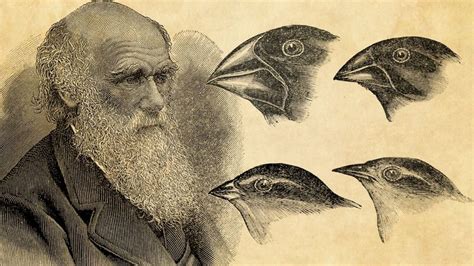 Charles Darwins Theory Of Evolution Upsc Current Affairs Ias Gyan